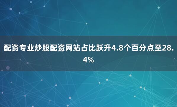 配资专业炒股配资网站占比跃升4.8个百分点至28.4%